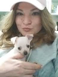 Introduction to Princess Angel the Chihuahua