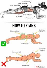 Rock Solid Abs Core With These 11 Plank Variations Gymguider Com Gym Workout Tips Plank Variations Plank Workout
