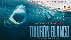 Tiburón island is the largest island in the gulf of california and the largest island in mexico, with an area of 1,201 square kilometres (464 sq mi). Trailer Corto Tiburon Blanco Youtube