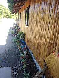 This japanese style bahay kubo or nipa hut here in the philippines is combination of local nipa hut and japanese design. Beautiful Native House Design