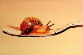 Buy original art worry free with our 7 day money back guarantee. Young Sung Kim Paintings For Sale Saatchi Art