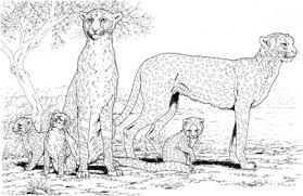 Cheetah Family Coloring Page Supercoloring Com Family Coloring Pages Animal Coloring Pages Puppy Coloring Pages