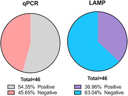 Environmental DNA: Vol 6, No 5