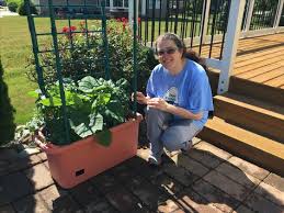 After 2 Weeks Tomato Trellis Container Gardening Garden Trellis