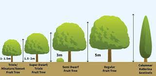 Check spelling or type a new query. Gardenarium Fruit Trees