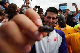 Jun 03, 2021 · novak djokovic ist am donnerstag souverän in die dritte runde bei den french open eingezogen. Novak Djokovic Starportrat News Bilder Gala De