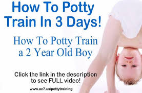 Train Potty Potty Training Chart Kmart