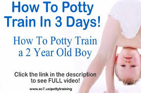 train potty potty training chart kmart