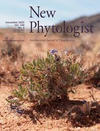 Image result for Blepharis sol