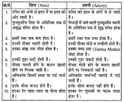 Techhindikutam #12thnotes #class12notes in this video i will show you download 12th class chemistry notes all chapter in pdf. Rbse Solutions For Class 10 Science Chapter 2 24 Https Www Rbsesolutions Com Class 10 Science Chapter 2 Hindi Medium Biology Facts Science Sweat Gland
