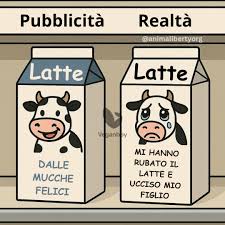 Veganboy - Una mucca da latte viene munta anche due volte al giorno, ogni  giorno. Per produrre latte, deve essere costantemente fecondata e  partorire. I vitelli vengono spesso separati dalla madre a