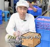 we offers free laundry pod samples—test and try first, bulk purchase only  when you‘re satisfied. #Laundrypods#laundry#factory#homecare #bloomwell  #laundrybeads#oemfactory#Chinesefactory#LooveeWiise ...
