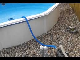 It is a potent antioxidant and a cofactor for a family of biosynthetic and gene regulatory enzymes. Wasser Aus Dem Pool Pumpen D Youtube