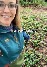 Descubriendo Chanterelles: Setas Silvestres en Casa