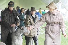 THE DOG SHOW MUST GO ON