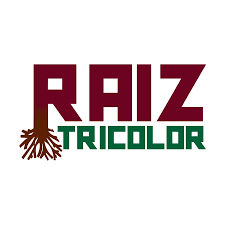 Cheat setup darkside aerial 3. Raiz Tricolor Youtube