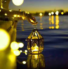 658 Creative Intelligent Whatsapp Dp Ideas Images Nature images collection are created for nature lovers.
