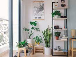With an array of elegant pastel colors and a neutral wall to tie it all together, this room is nothing short of spectacular. How To Decorate A Small Living Room With Plants Plant Care Tips And More La Residence