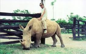 Pin En Art Universe Inspirations Dark Side Fashion Bullshit