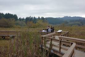 Helens is located a significant distance from major metropolitan areas, roughly midway between seattle and portland. Learn Play And Relax In The Shadow Of Mount St Helens Adventure Awaits Wa