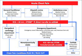 Image result for Chest Pain Observation Unit