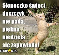 Obrazek