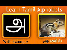 The script of tamil language consists of 247 letters. Learn Tamil Alphabets Youtube