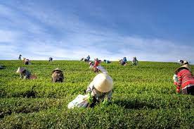 Check spelling or type a new query. Cari Jawaban Soal Kelas 5 Tema 8 Subtema 1 Contoh Jenis Usaha Yang Memanfaatkan Sumber Daya Alam Semua Halaman Bobo