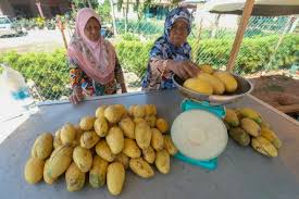 19m nasi beriani power,pokok mangga.melaka. Bernama Melaka Delite Keenakan Buah Mangga Negeri Melaka