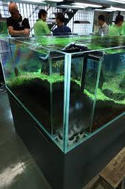 Japan Tour 2013 Aquarium Landscape Diy Aquarium Filter Aquascape Design