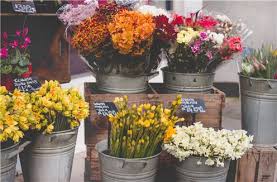 Check spelling or type a new query. California Flower Shops For Sale Bizbuysell