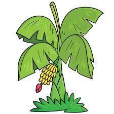 Those leaves behind will naturally be covered by those upfront. 2 605 Banana Tree Cartoon Vector Images Free Royalty Free Banana Tree Cartoon Vectors Depositphotos