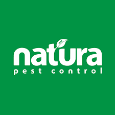 If you leave just one pregnant female alive after treatment, your residence will be reinfested. Natura Pest Control Home Facebook