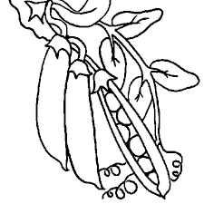 Le Dessin Nous Montre Des Petits Pois Un Legume Vert Colorie Les Pois En Vert Clair Les Gousses Sont Un Peu Plus Coloriage Coloriage Enfant Coloriage Nature