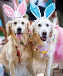 2023 Pet Lovers Issue