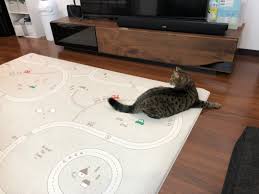 猫のいるくらしとパークロンプレイマット | 共働きLife