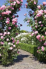 Plant flowers and curling vines nearby so they can climb up the arch's sides so the blooms can add dimension. 6 Garden Arch Styles To Consider Wooden Garden Arch Metal Garden Arch