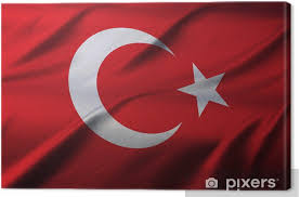 Om åldrar under eller över dessa gränser anges. Canvastavla Turkisk Flagga Pixers Vi Lever For Forandring