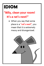 Idiom Rat S Nest Idioms And Phrases English Phrases English Words