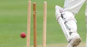 Well, what do you know? How High Should A Stump Be According Trivia Questions Quizzclub