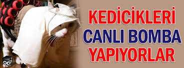 Image result for ışid kedileri bile canlı bomba yaptı