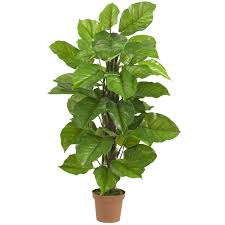 West elm!) have created their own versions, and you for the homeowner who wants the look of plants without any of the upkeep, these are for you. Best Fake Plants That Look Real Popsugar Home