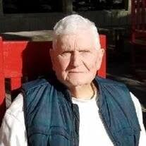 Richard Medlock Sr. Obituary (2025)