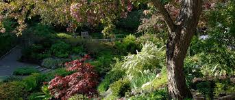Les Jardins De Metis Reford Gardens Grand Metis Photo Louise Tanguay Plants Explore Places