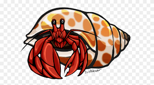 More images for clam shell clip art » Group Of Shells Clipart Open Clam Shell Clip Art Vector Images Seashell Clipart Stunning Free Transparent Png Clipart Images Free Download