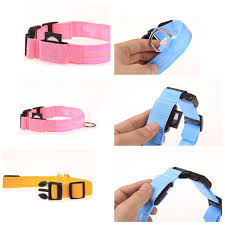 Collars, Harnesses & Leashes - Adjustable 3-Mode LED Flashing Dog Collar,  Size: M (Random Color Delivery) was listed for 165.00 on 10 Jul at 20:03 by  techietoys in Outside South Africa (ID:645164737)