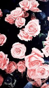 Rose Gold Girly Flower Cute Wallpaper You can also upload and share your favorite rose gold wallpapers. rose gold girly flower cute wallpaper