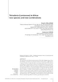 Image result for Tetradenia bainesii