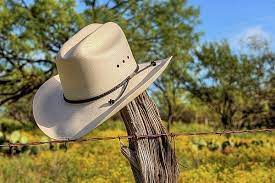 Pin On Texas