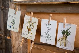 Here you can explore hq wedding card transparent illustrations, icons and clipart with filter setting like size, type, color etc. 11 Creative Rustic Wedding Place Card Ideas Riverside Farmriverside Farm